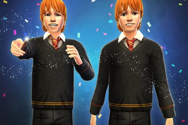 WIZARDING WORLD characters, names and related indicia are © & ™ Warner Bros. Entertainment Inc. Publishing Rights © JKR. (s24)