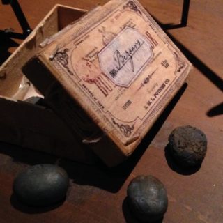 マンドレイク マンドラゴラ ハリーポッター ハリポタの魔法薬材料 ポッターポータル Potterportal