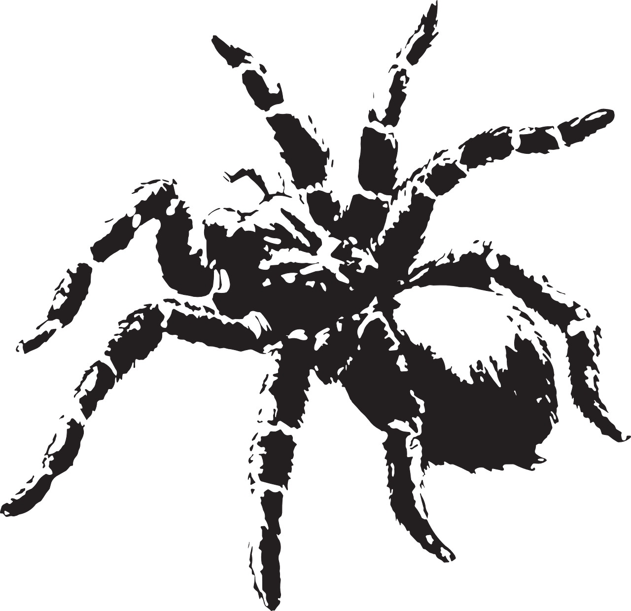 アラゴグ（ハグリッドの蜘蛛）の大きさやなぜ死んだかの理由まとめ｜ハリーポッター