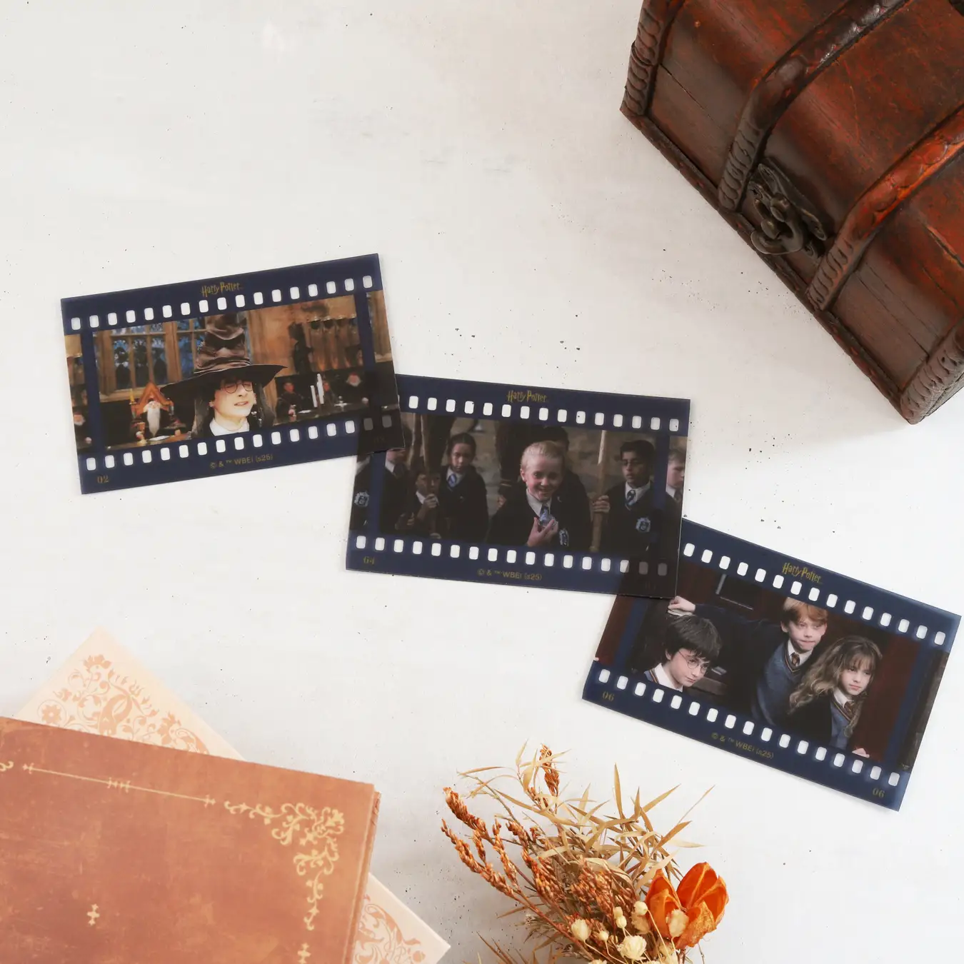 All characters and elements © & ™ Warner Bros. Entertainment Inc. Publishing Rights © JKR. (s25)