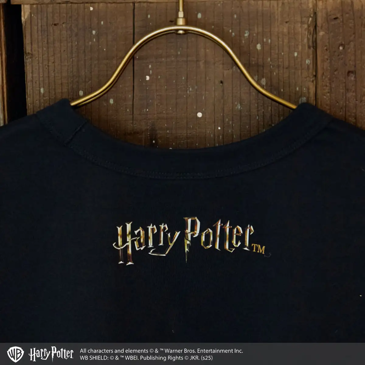 All characters and elements © & ™ Warner Bros. Entertainment Inc. Publishing Rights © JKR. (s25)