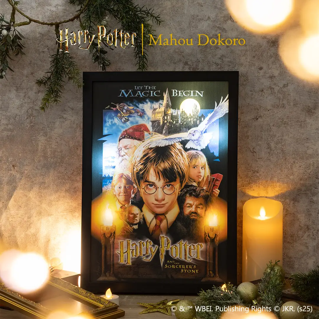 All characters and elements (c) & Warner Bros. Entertainment Inc. Publishing Rights (c) JKR. (s25)