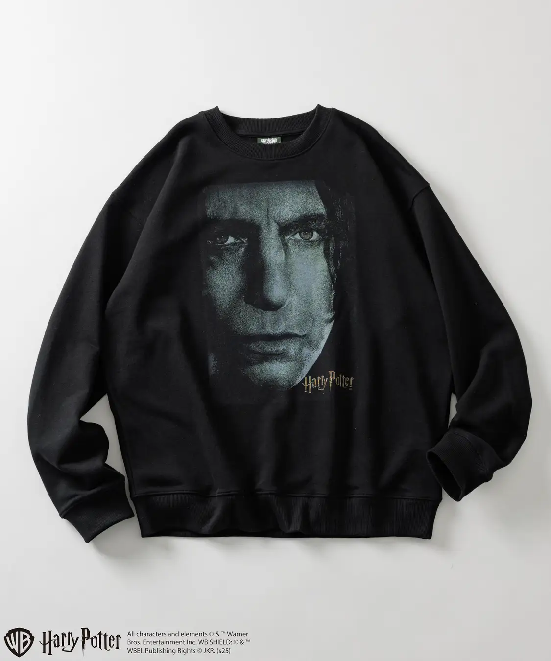 All characters and elements (c) & Warner Bros. Entertainment Inc. Publishing Rights (c) JKR. (s25)