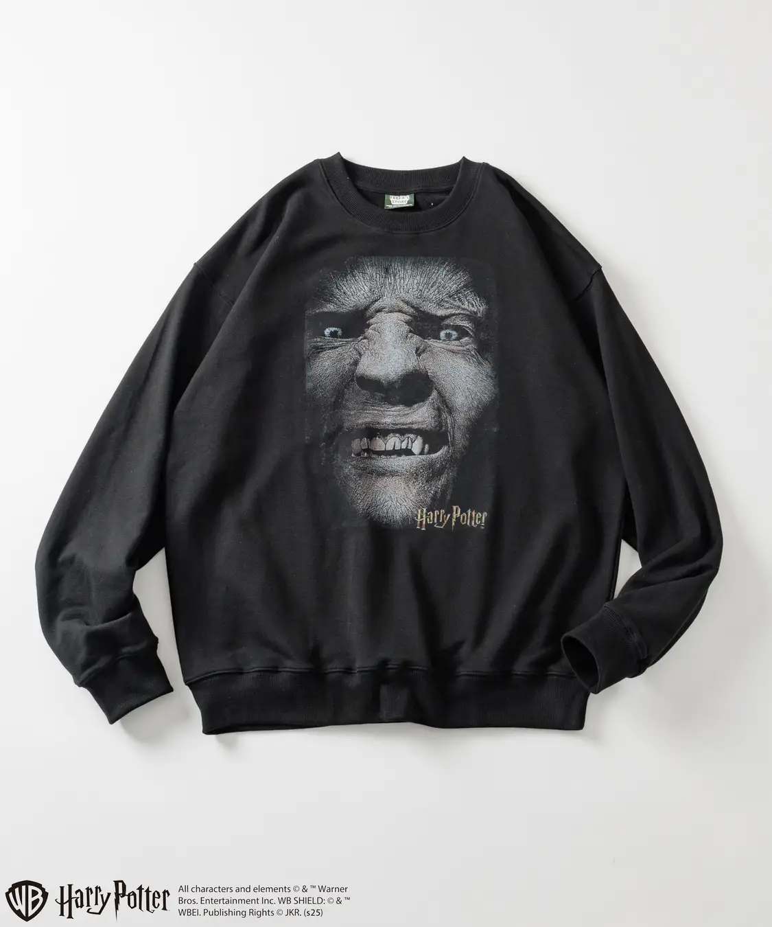 All characters and elements (c) & Warner Bros. Entertainment Inc. Publishing Rights (c) JKR. (s25)