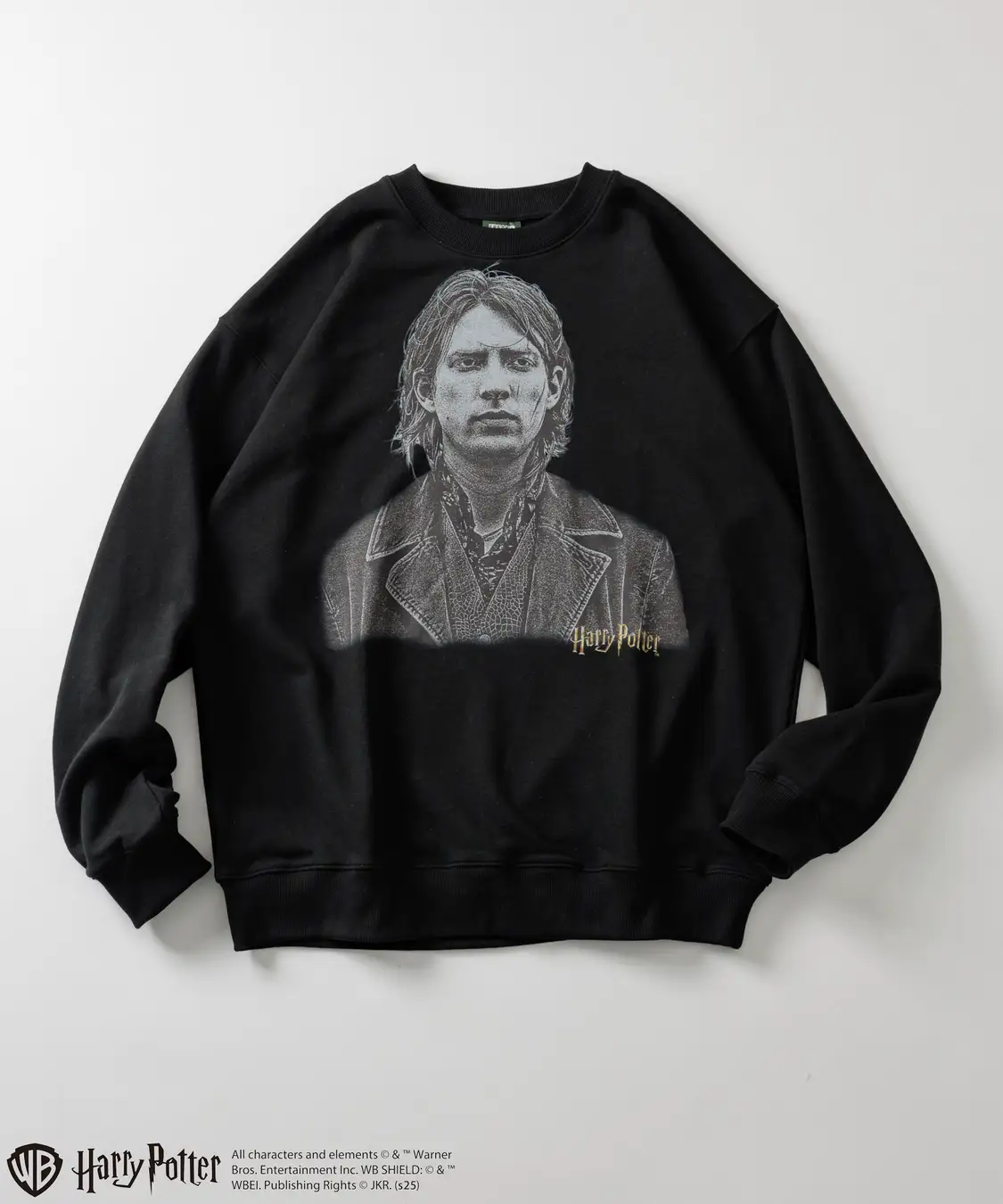 All characters and elements (c) & Warner Bros. Entertainment Inc. Publishing Rights (c) JKR. (s25)