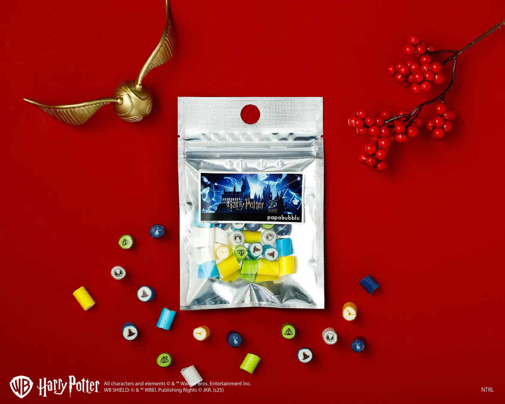 All characters and elements (c) & Warner Bros. Entertainment Inc. Publishing Rights (c) JKR. (s25)