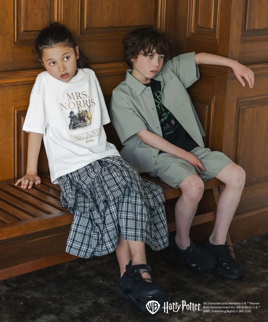 All characters and elements © & ™ Warner Bros. Entertainment Inc. Publishing Rights © JKR. (s26)