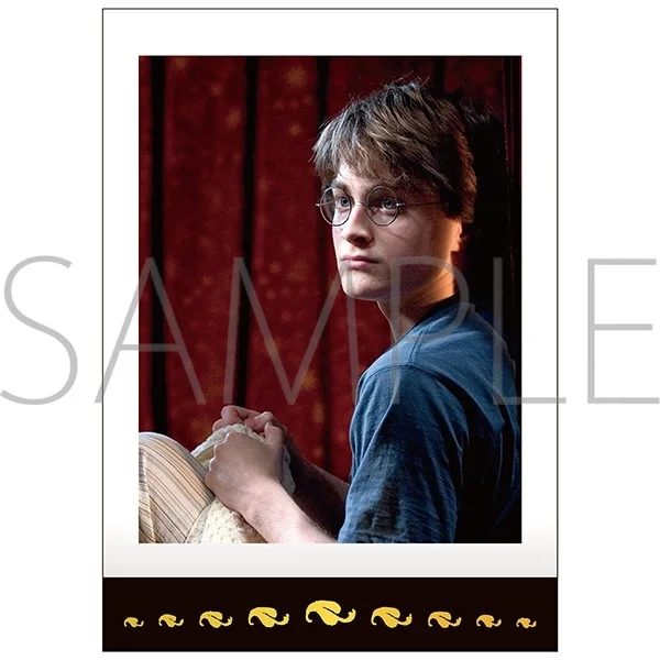 All characters and elements © & ™ Warner Bros. Entertainment Inc. Publishing Rights © JKR. (s26)