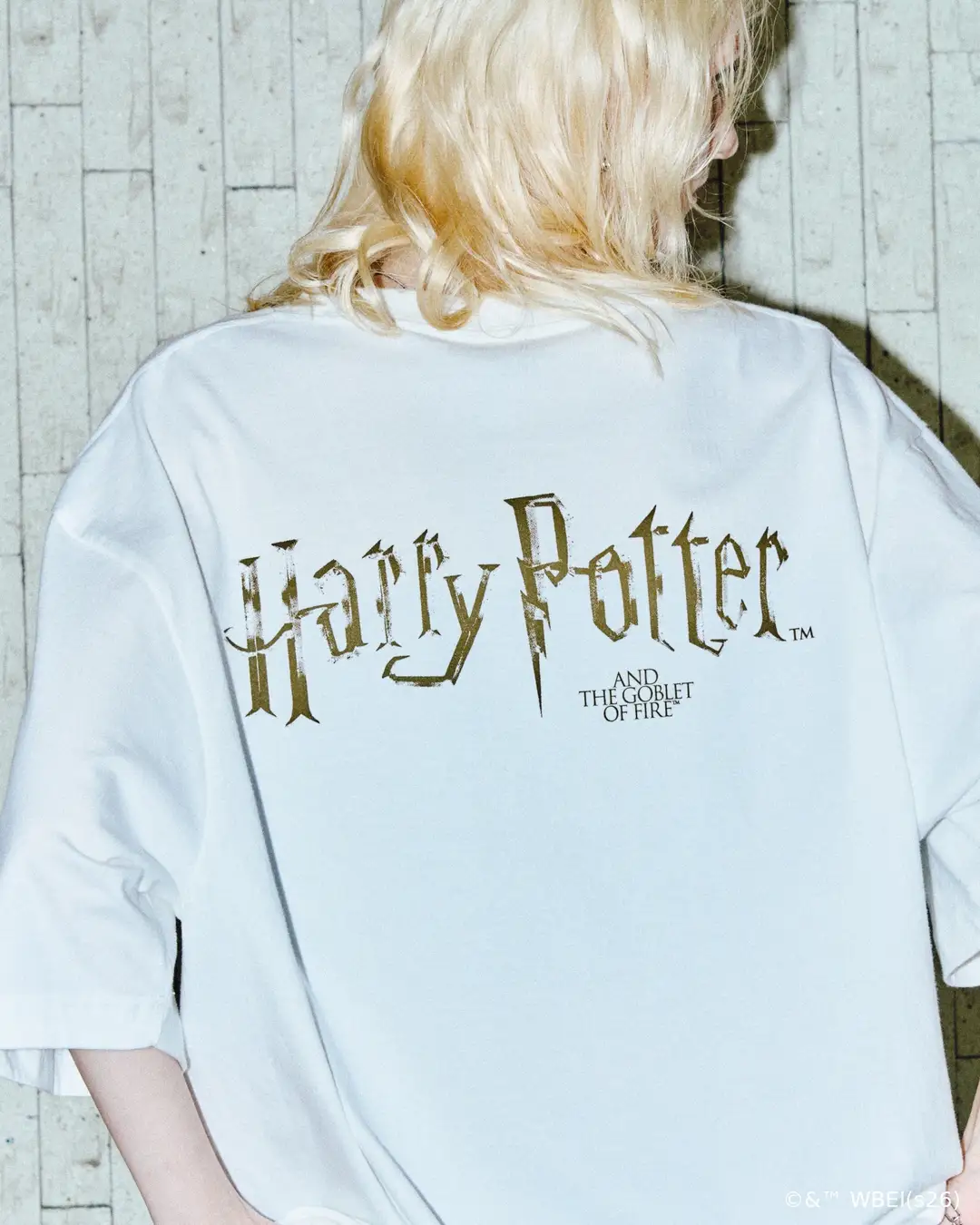 All characters and elements © & ™ Warner Bros. Entertainment Inc. Publishing Rights © JKR. (s26)