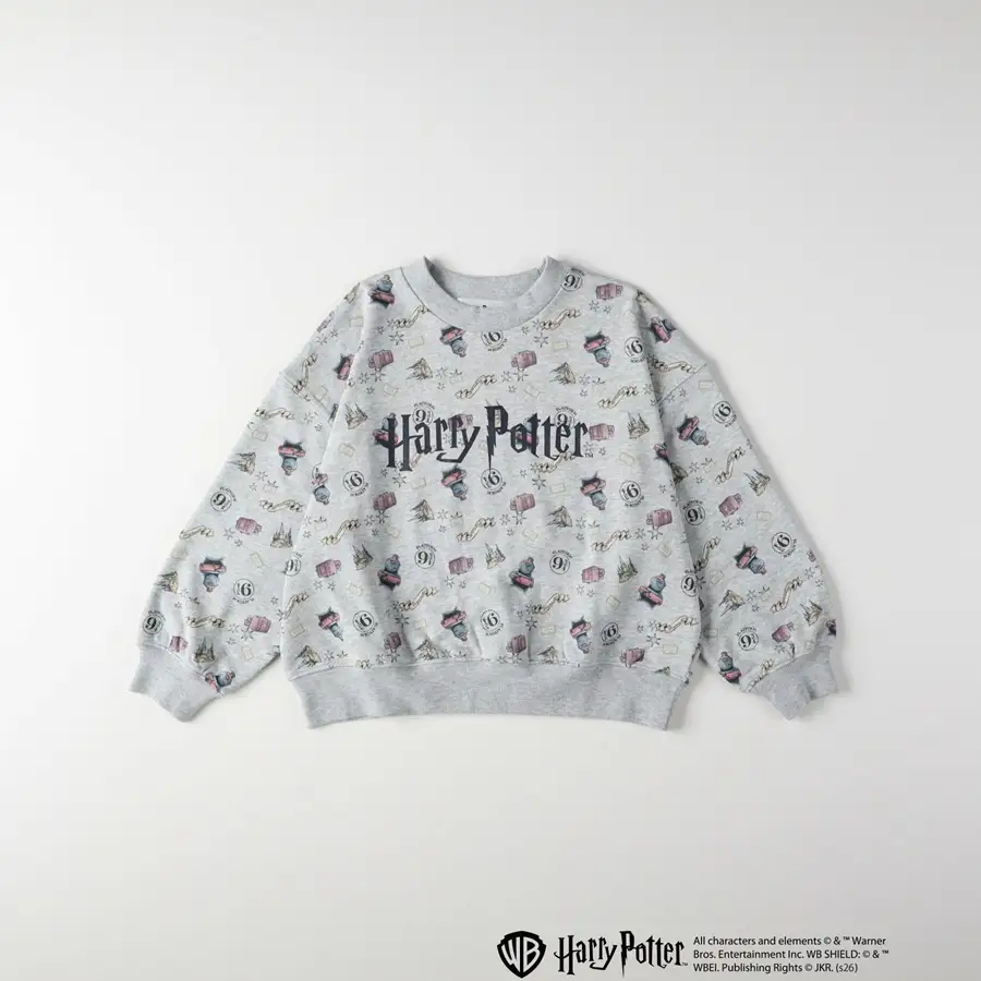 All characters and elements © & ™ Warner Bros. Entertainment Inc. Publishing Rights © JKR. (s26)