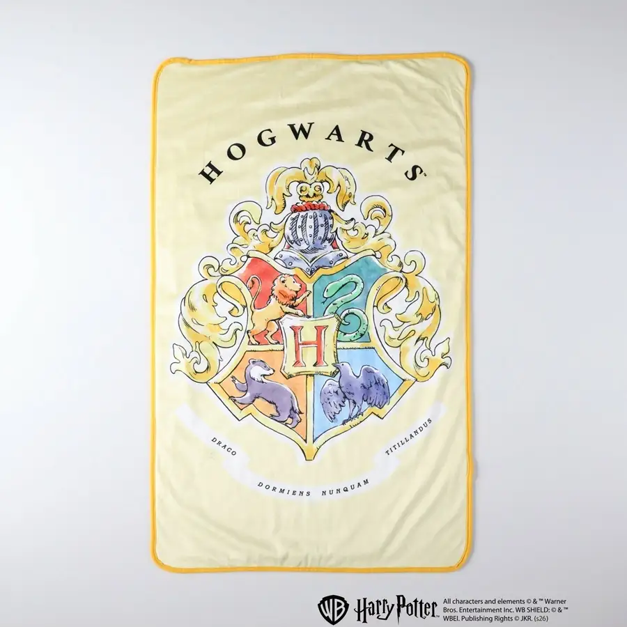 All characters and elements © & ™ Warner Bros. Entertainment Inc. Publishing Rights © JKR. (s26)