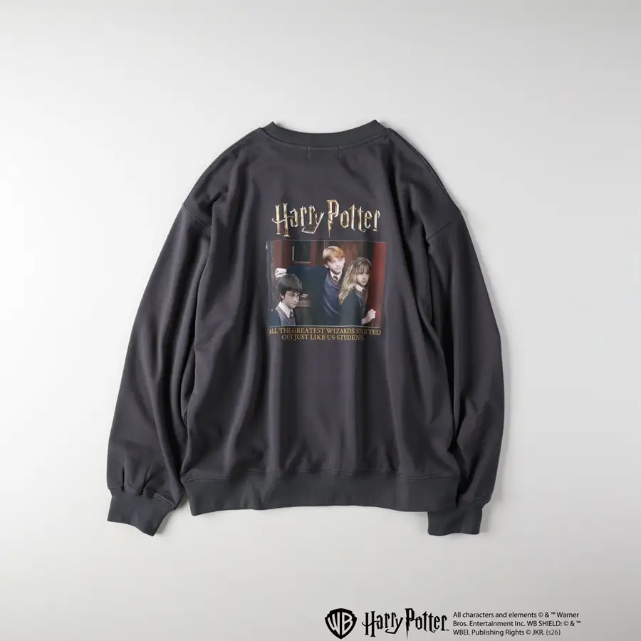 All characters and elements © & ™ Warner Bros. Entertainment Inc. Publishing Rights © JKR. (s26)