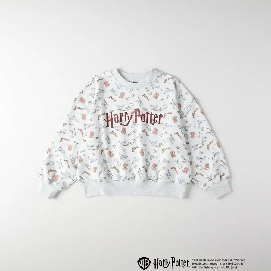 All characters and elements © & ™ Warner Bros. Entertainment Inc. Publishing Rights © JKR. (s26)